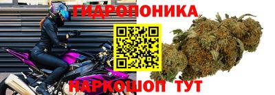 бошки Донецк