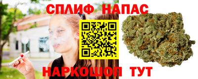 spice Заводоуковск