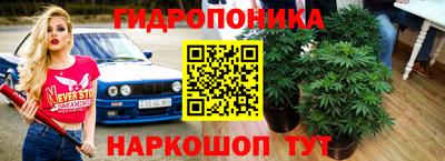 бошки Донецк