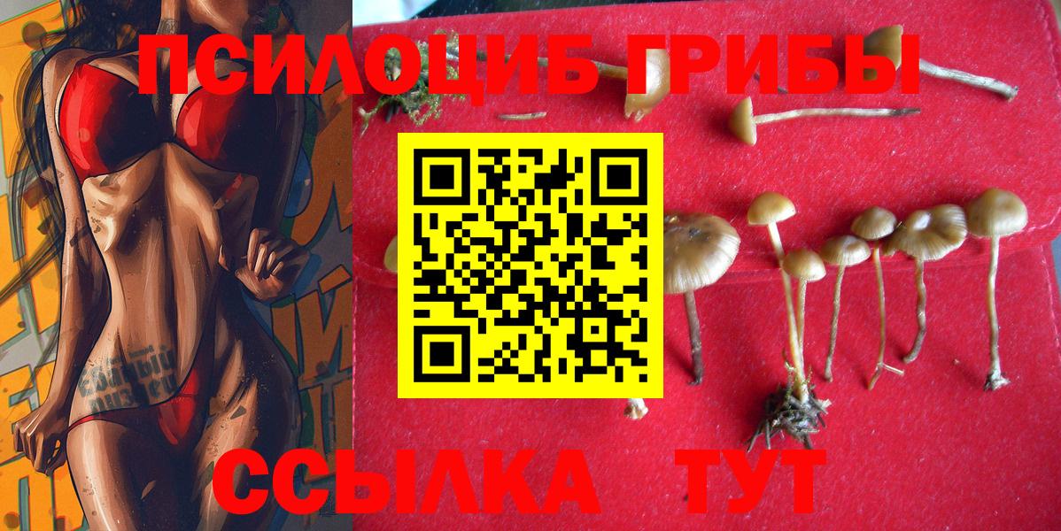 Торжок  Псилоцибиновые грибы GOLDEN TEACHER  Вход с VPN 