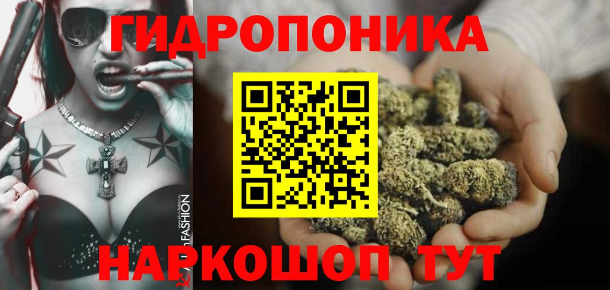 Конопля ГИДРОПОН  Шишки марихуана MAZAR  Торжок  Канабис сатива  Вход с VPN 